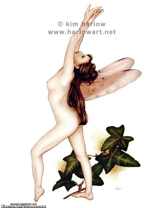 Illustration for article titled Girl Faeries